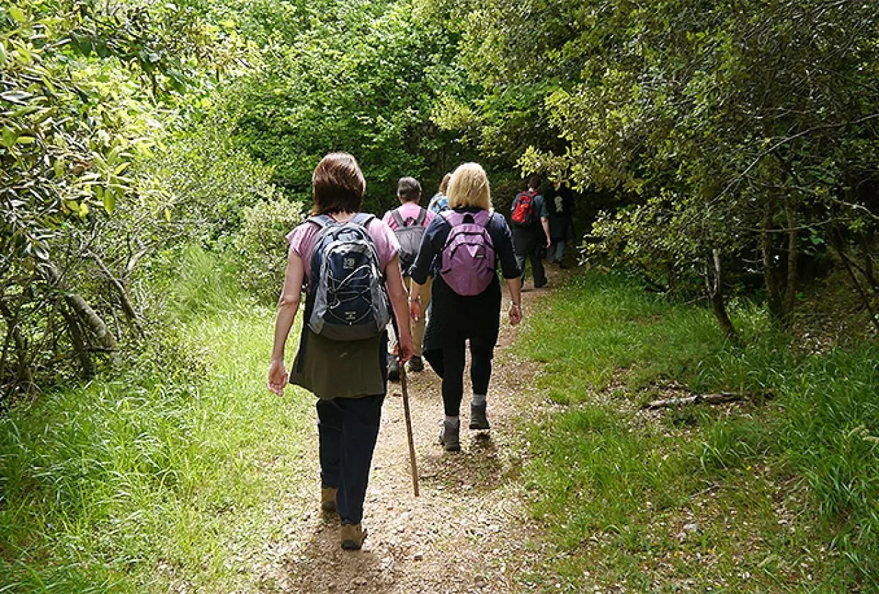 Naturwanderungen